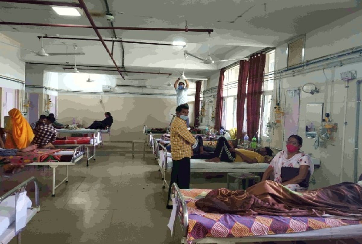 Dengue patients admitted among normal patients in GMSH 16 Chandigarh