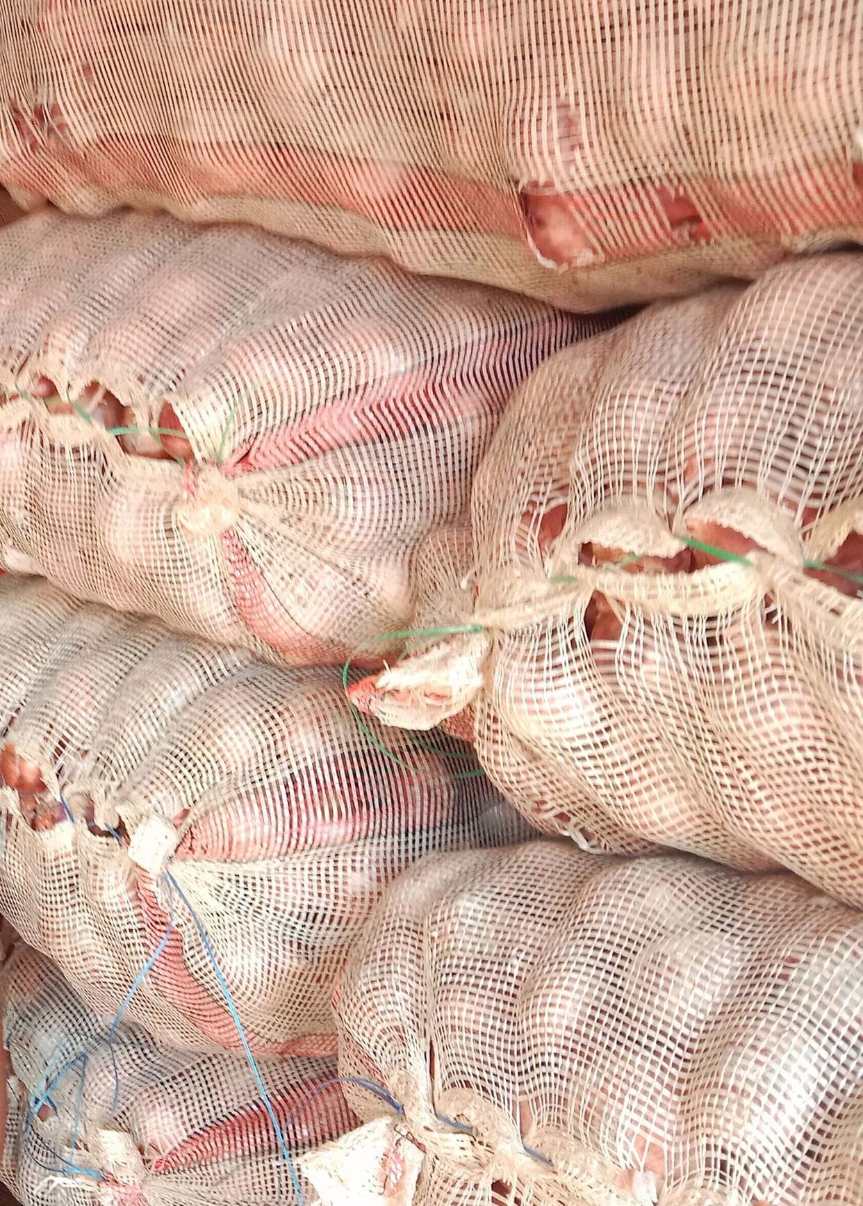 Onion made us cry after the increased prices of petrol and diesel