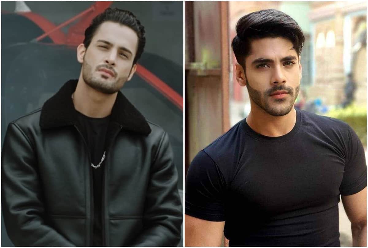 Bigg Boss 15: Simba Nagpal confronts Umar Riaz said this about Asim Riaz
