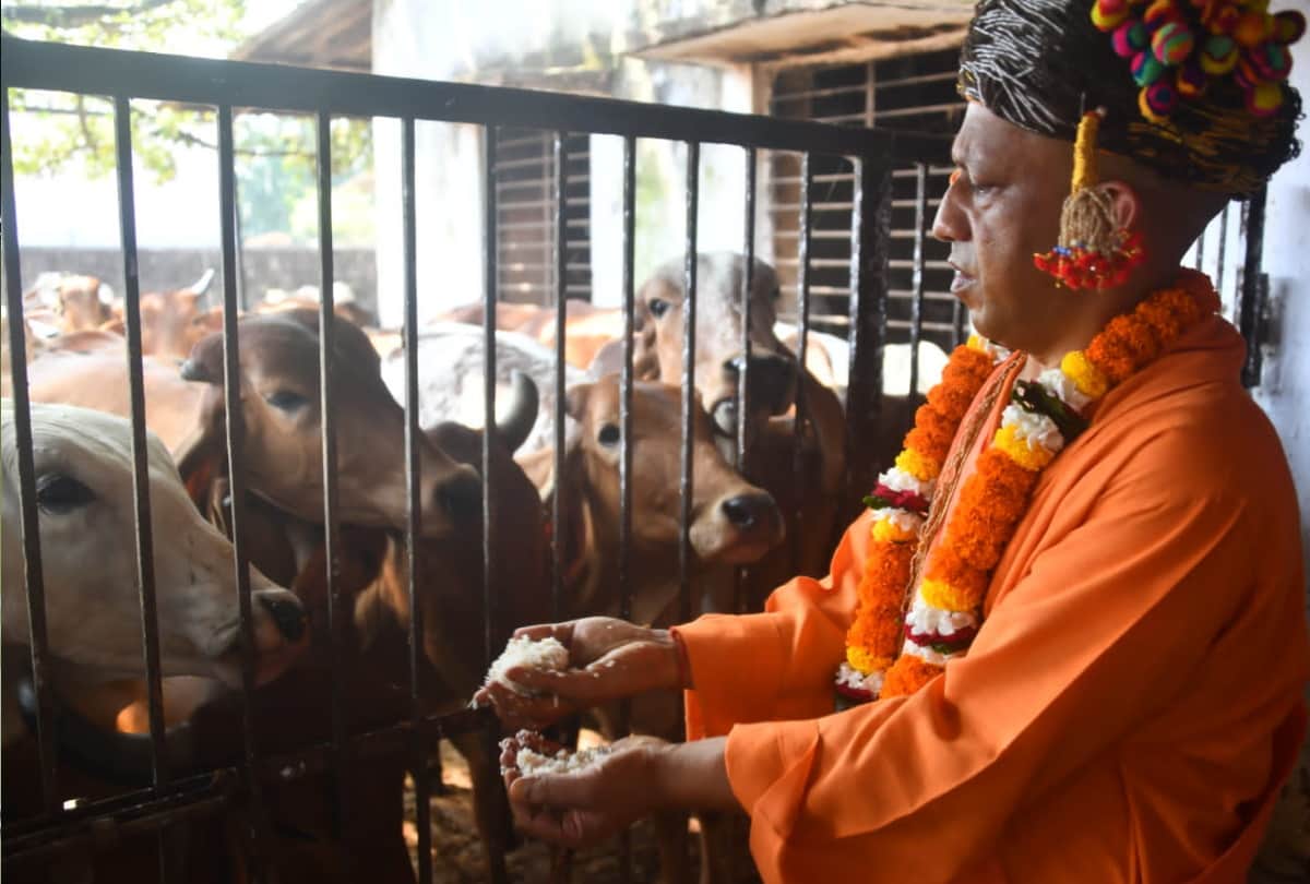 Vijayadashami 2021 Tilakotsav in Gorakhnath temple saints commented on CM Yogi adityanath