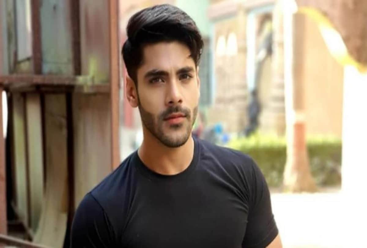 Khatron Ke Khiladi 13 Naagin Fame Simba Nagpal has been approached for the Rohit Shetty show