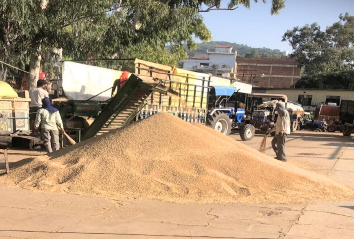 No sacks at purchasing centers purchase of paddy stalled