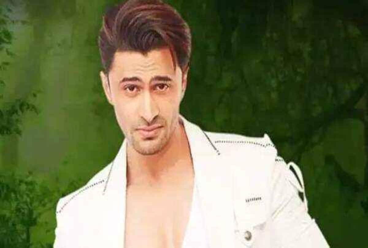 Bigg boss 15 Miesha and Ieshaan love story gained popularity now both are eliminated from the show