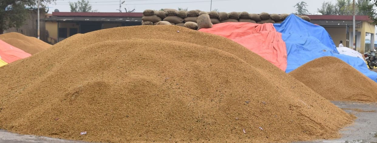 Paddy procurement will start from November 10