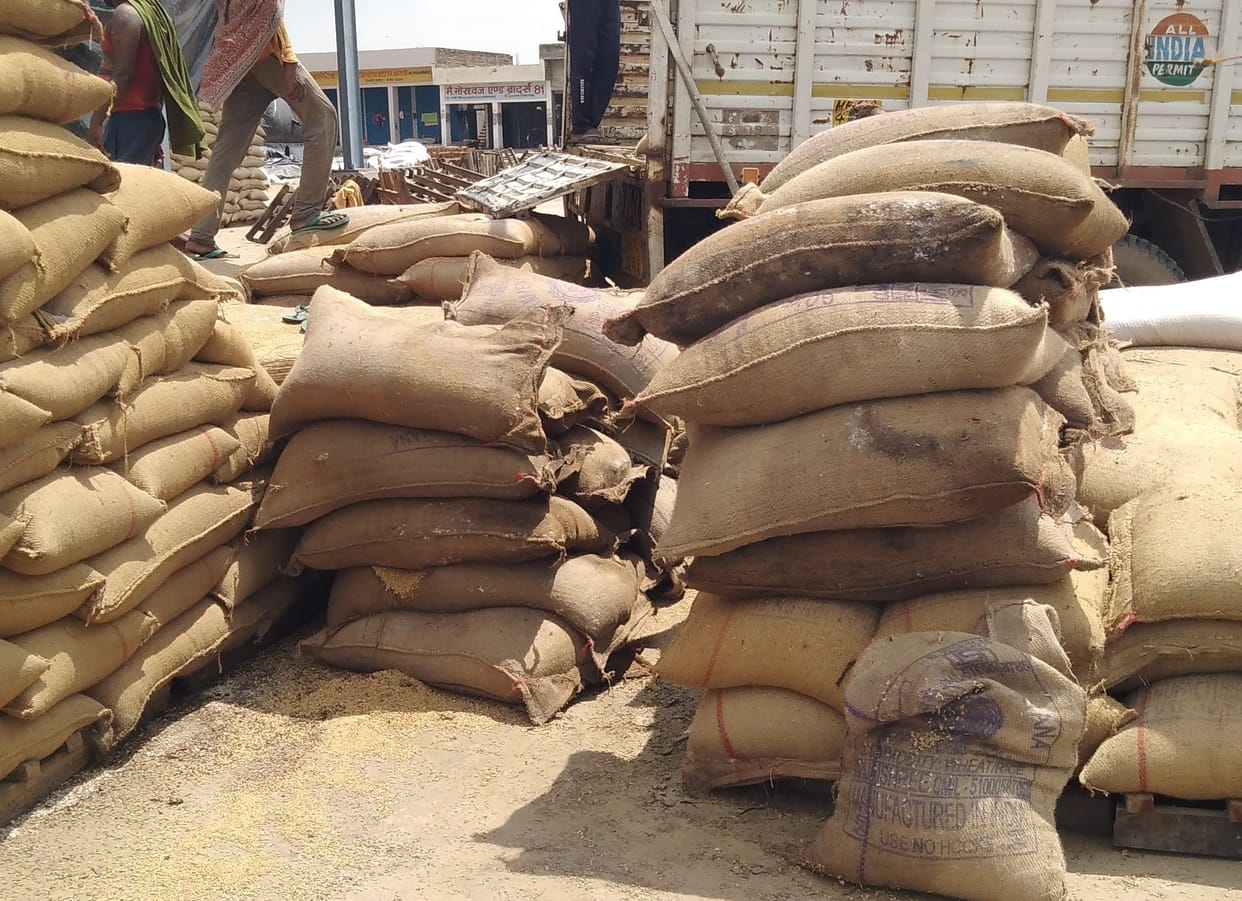 Preparations for distributing bad wheat to the poor, the officer knowledgeable also silent