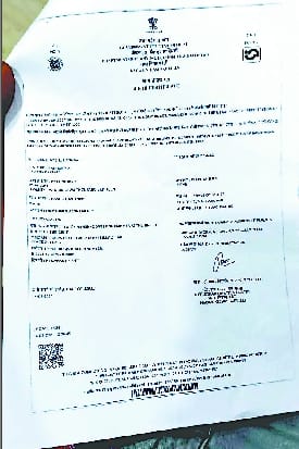 Birth certificate issued by creating fake website of statistics department