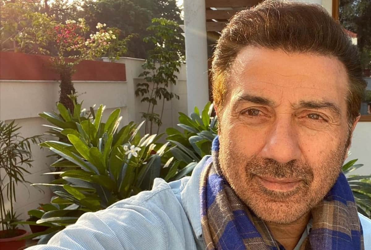 BJP MP Sunny Deol not active in Punjab Assembly elections 2022