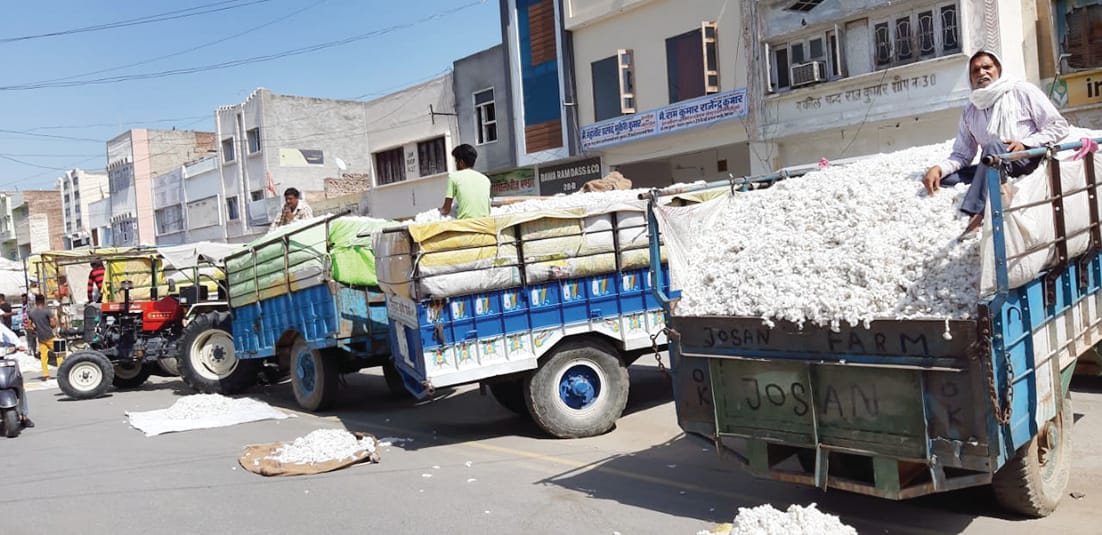 Price of damaged soft crop increased by Rs 1500 per quintal compared to last year