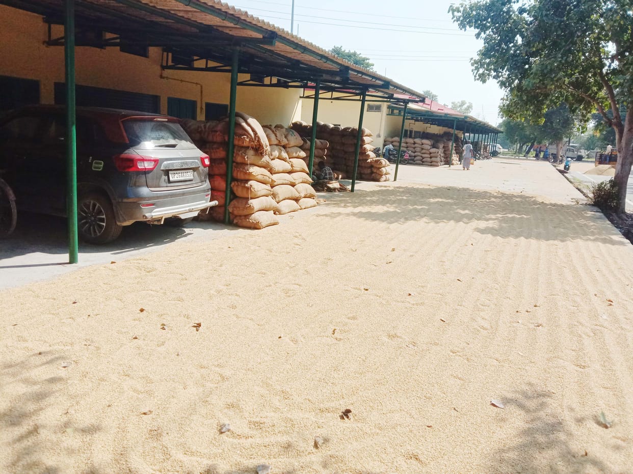 Civic Amenities