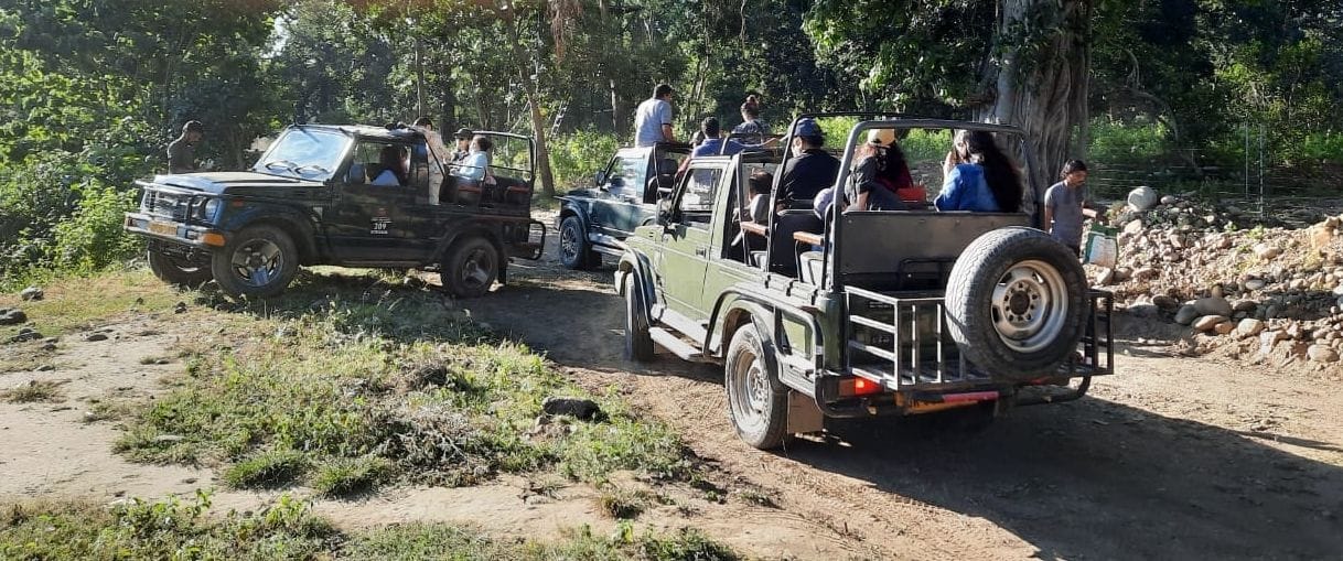 Corbett's Bijrani Zone open for tourists