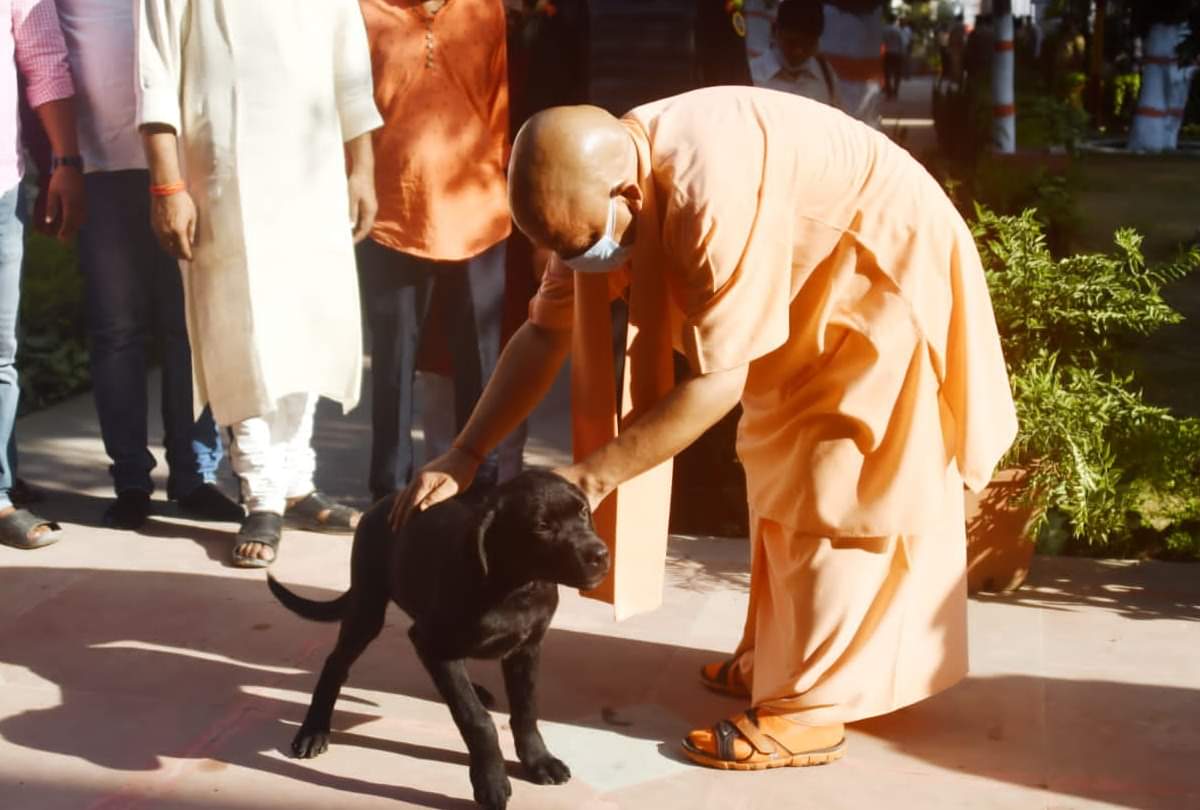 cm yogi adityanath Listen problem in janta darbar at gorakhpur