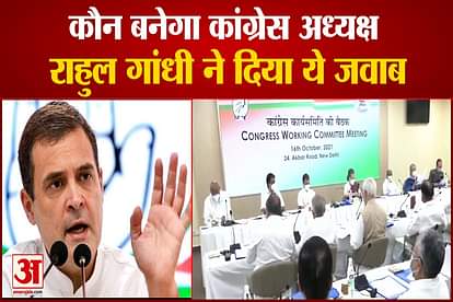 Congress leaders agrees on the name of rahul gandhi as party president in cwc meeting