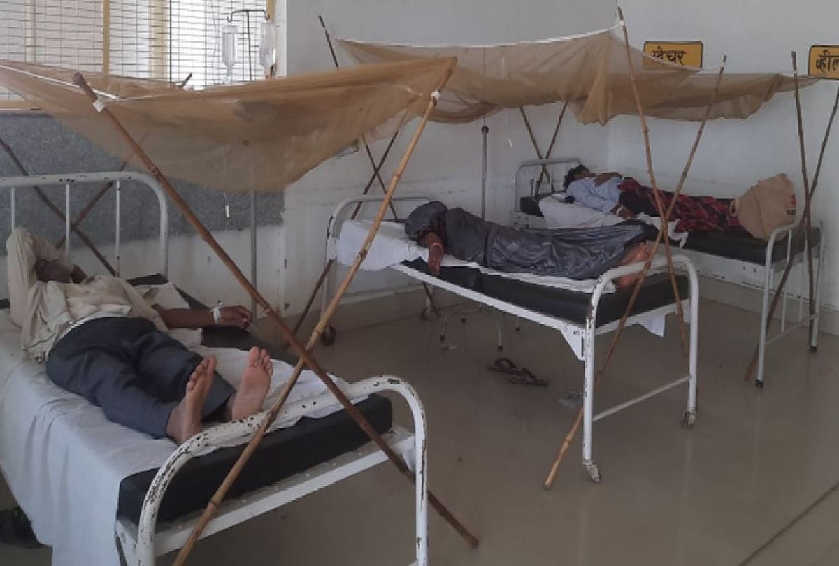 10 dengue patients found in gorakhpur in 48 hours