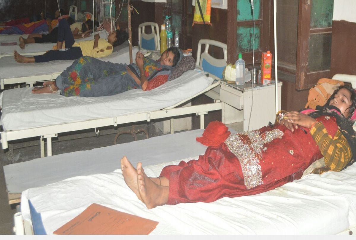 agra denuge news: seven new patients of dengue in agra