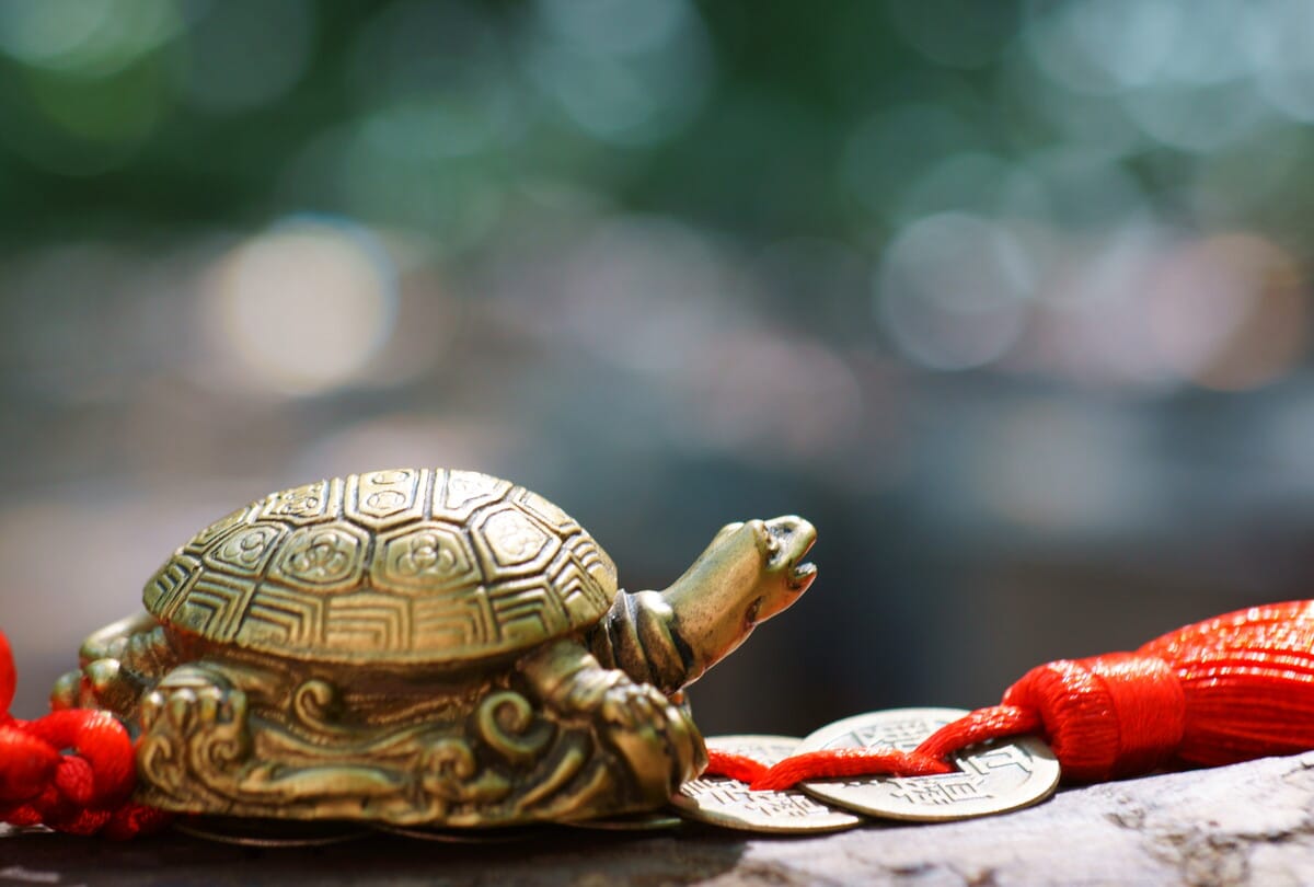 FengShui Tips fengshui tortoise is auspicious for house know its benefits
