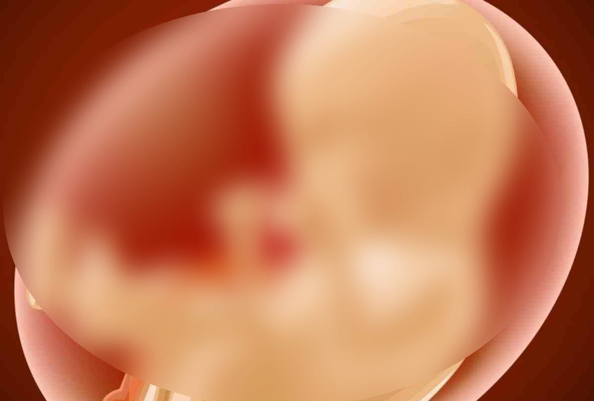 Fetus found in bushes in sujanpur hamirpur, police took possession