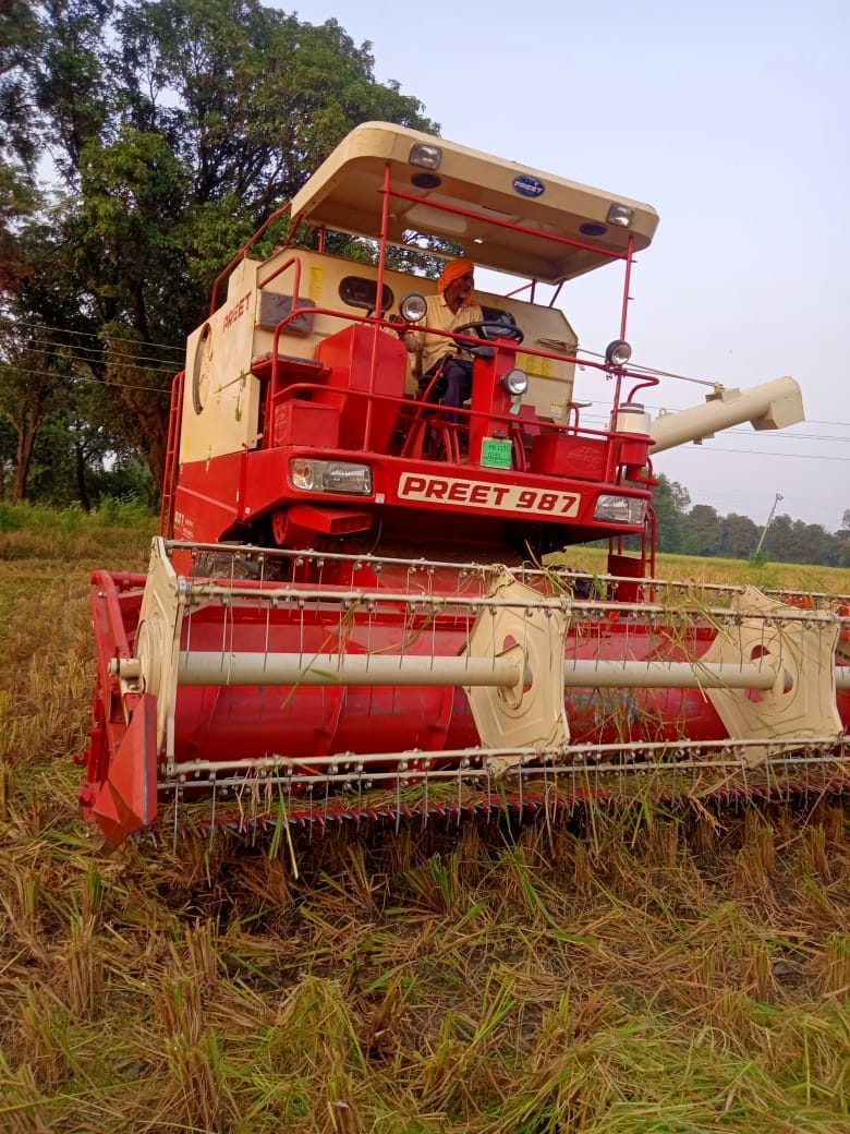 agriculture