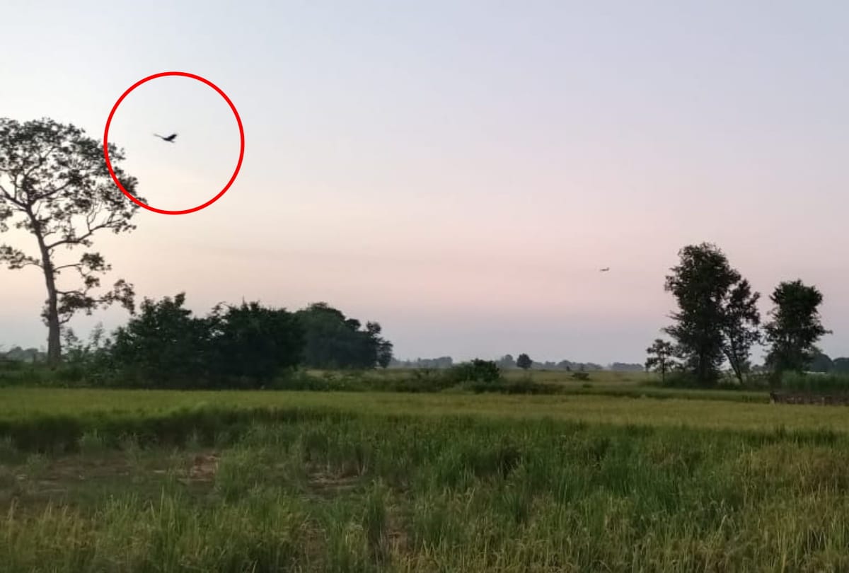 nepali plane enters indian border