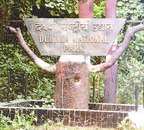This time tourists will be able to ride an elephant in Dudhwa