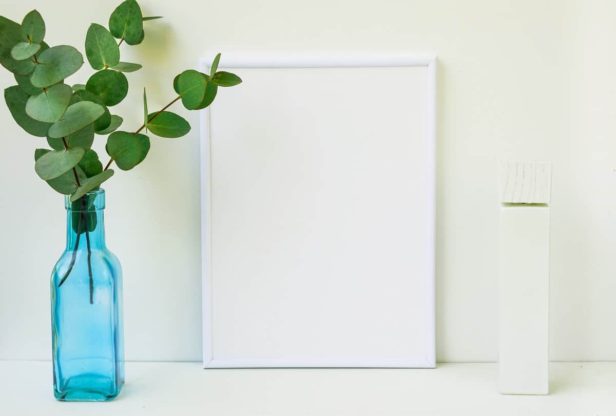 Vastu Tips Take these precautions while setting up a money plant, otherwise there may be loss of money