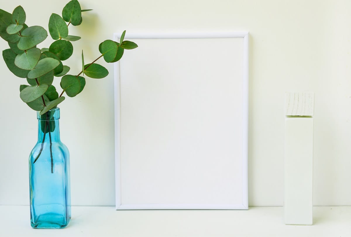 Vastu Tips Take these precautions while setting up a money plant, otherwise there may be loss of money