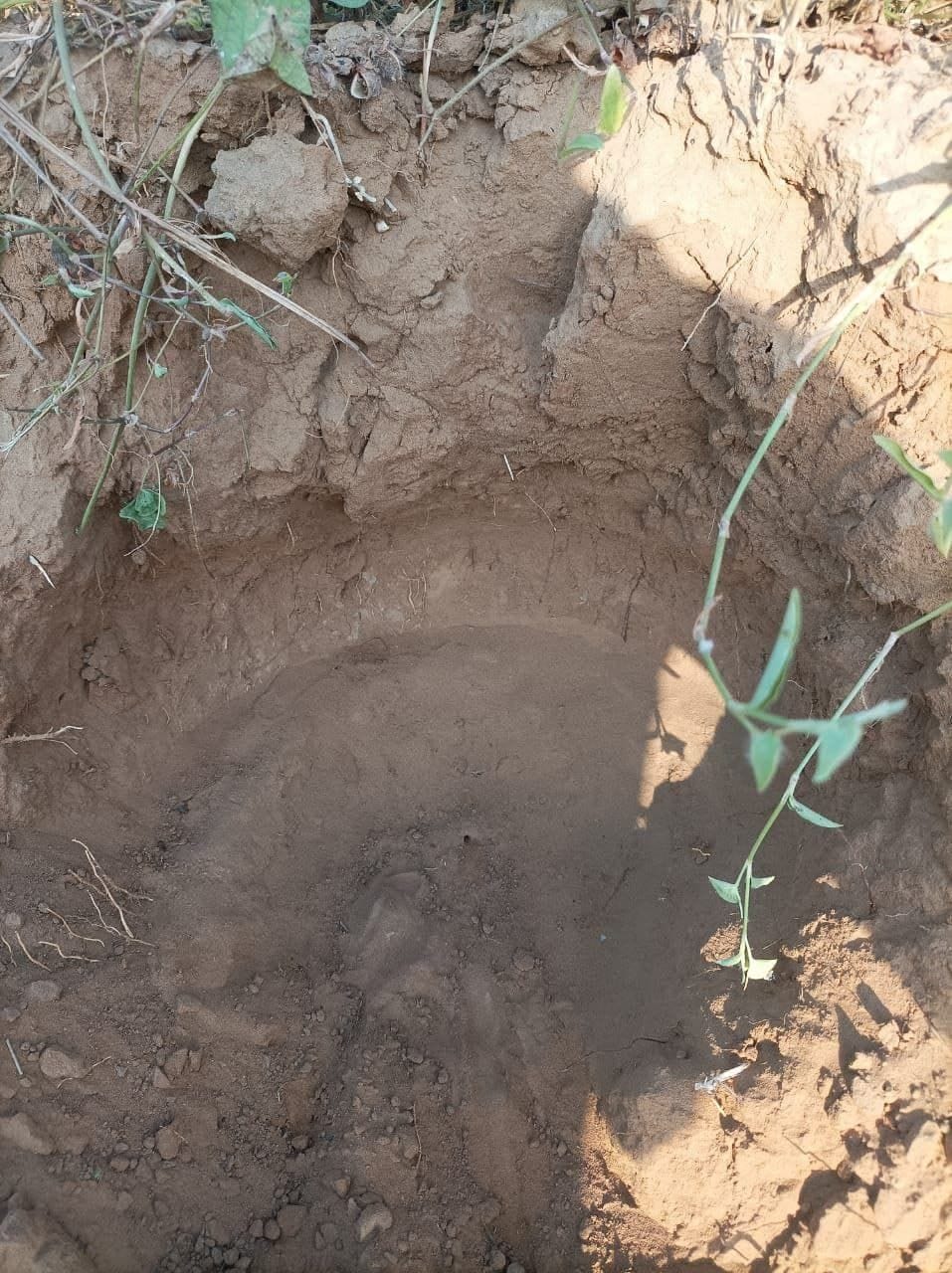 Brass pieces and pot-shaped pit found in the field of Jaijawanti village