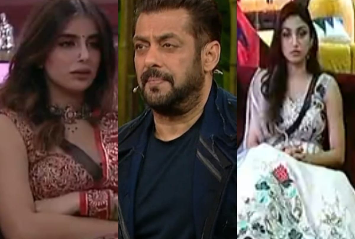 Bigg Boss 15 miesha iyer use foul language with donal bisht host salman khan said it is not good for your image