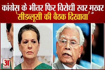 Natwar Singh angry with Sonia Gandhi expressed concern over the future of the party