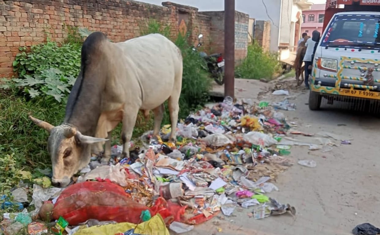 Due to the strike, heaps of dirt piled up in Kayamganj
