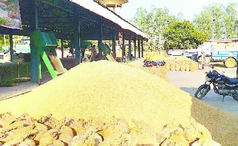 Paddy purchasing centers run in Gola Mandi Committee but the troubles persist