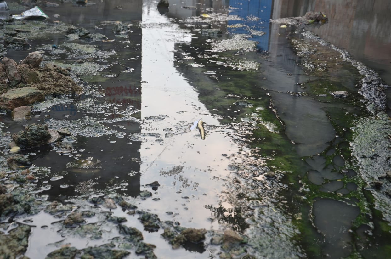 Dengue patients getting every other day, second isolation ward will be built in SCS