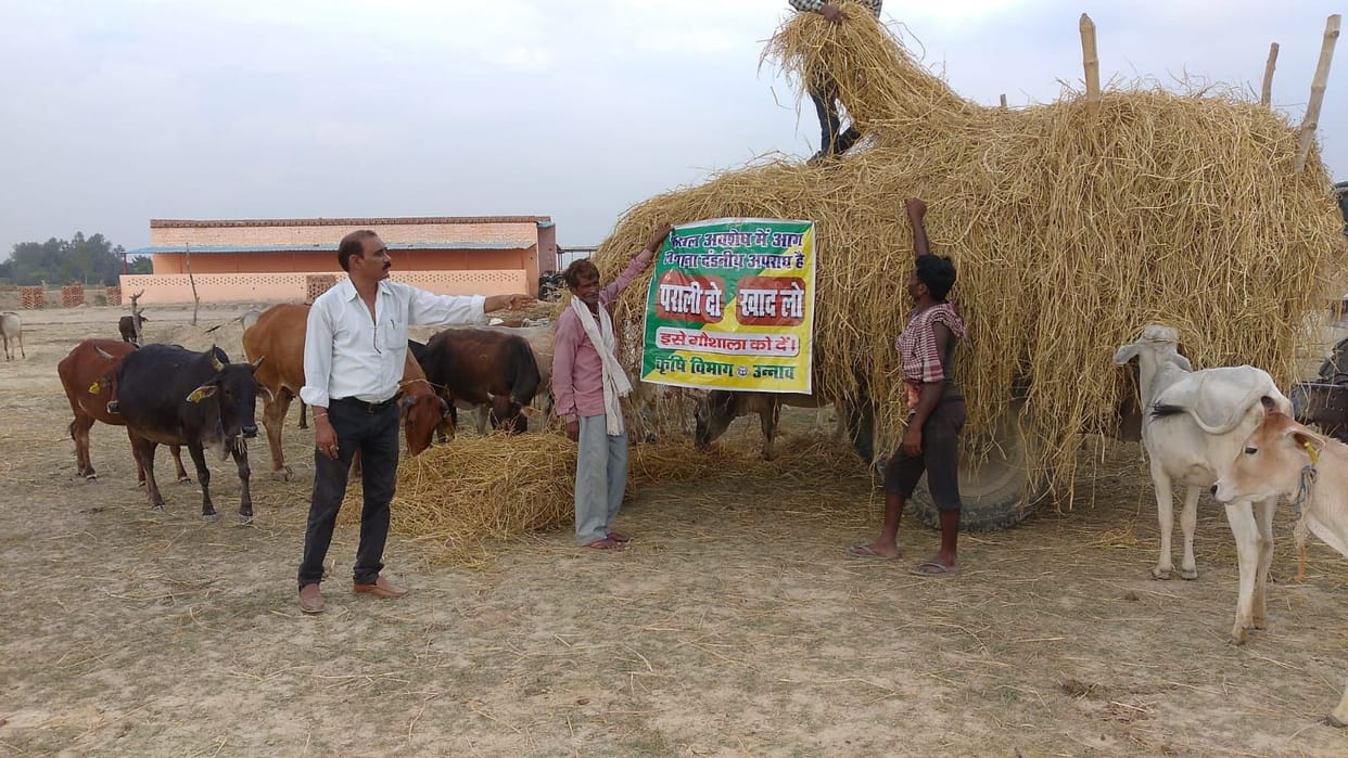 parali