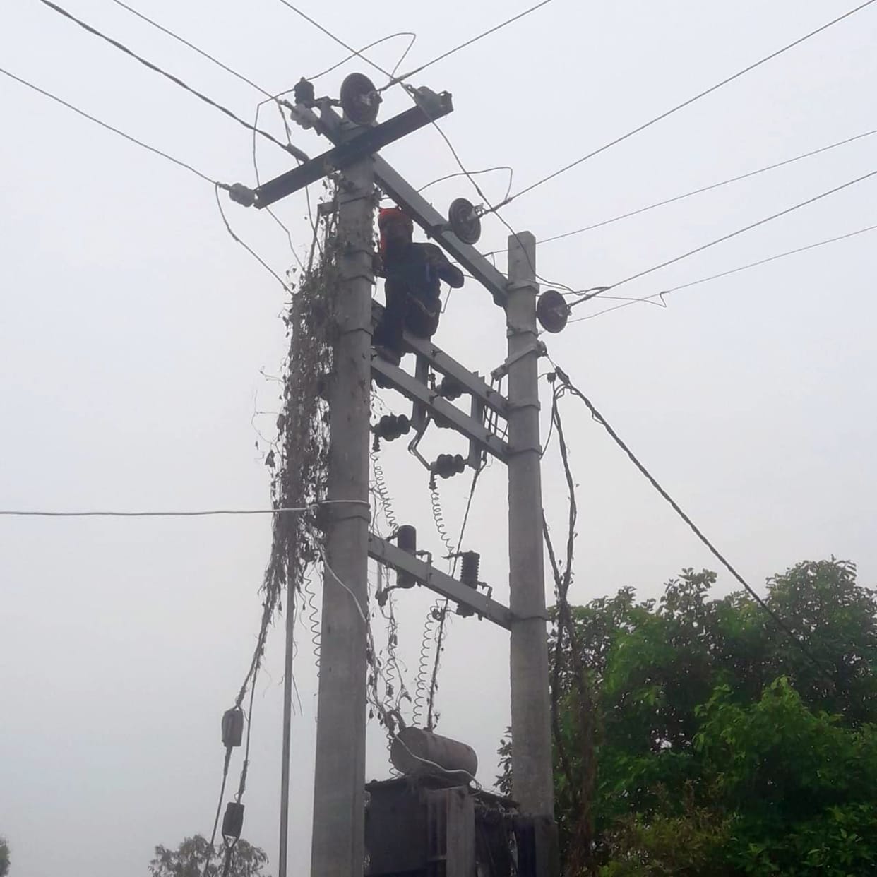 15 poles fell in storm water