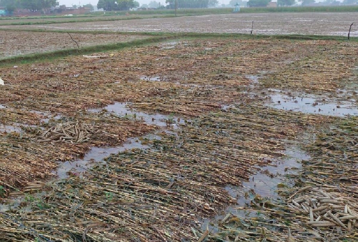 Due to the rain on the mountains, the water of the Sharda river caused destruction in 12 villages, crops drowned, people trapped