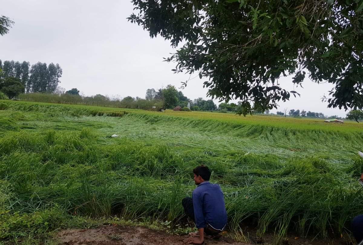 Rain Hits In Agra Division At Monday Know Weather Forecast For Next Two Days
