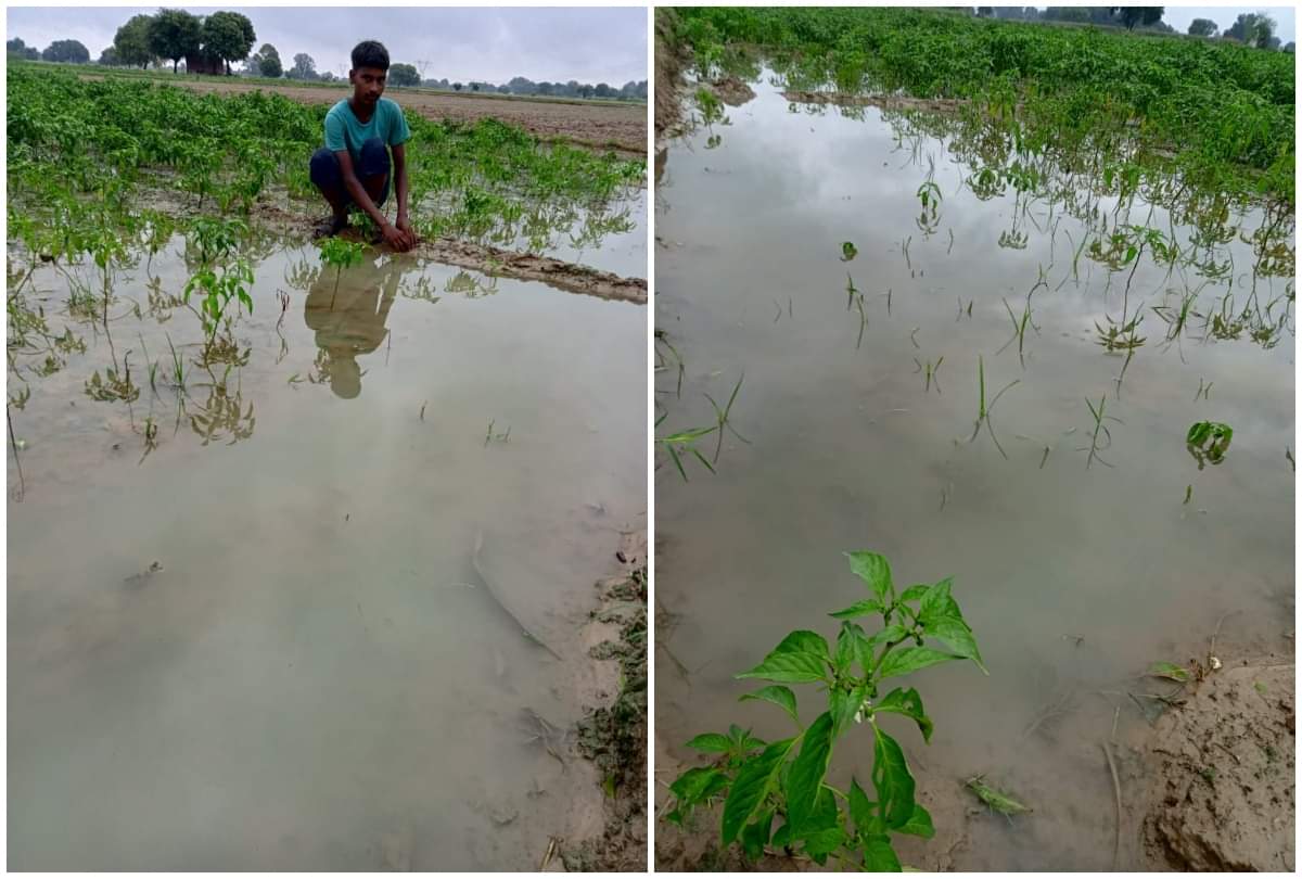 Rain Hits In Agra Division At Monday Know Weather Forecast For Next Two Days