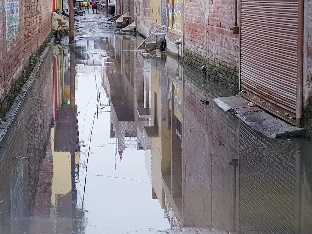 Rain rained as a disaster, heavy loss to farmers