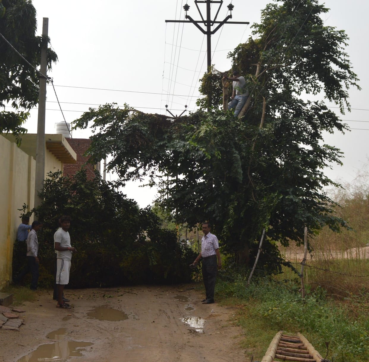 Hathras: Electricity crisis in half the city till noon
