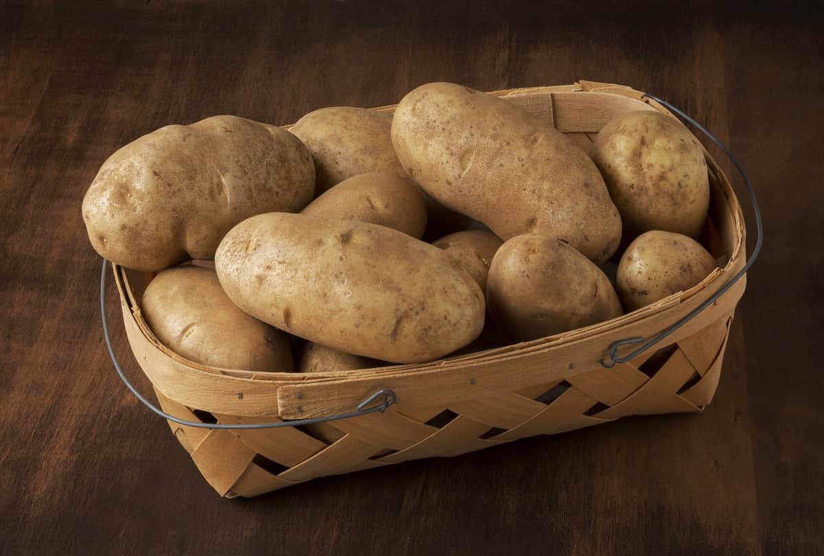 Today’s Kitchen: How to Make Potato Tomato Curry Know Aloo Tamatar Ka Jhol Recipe in Hindi