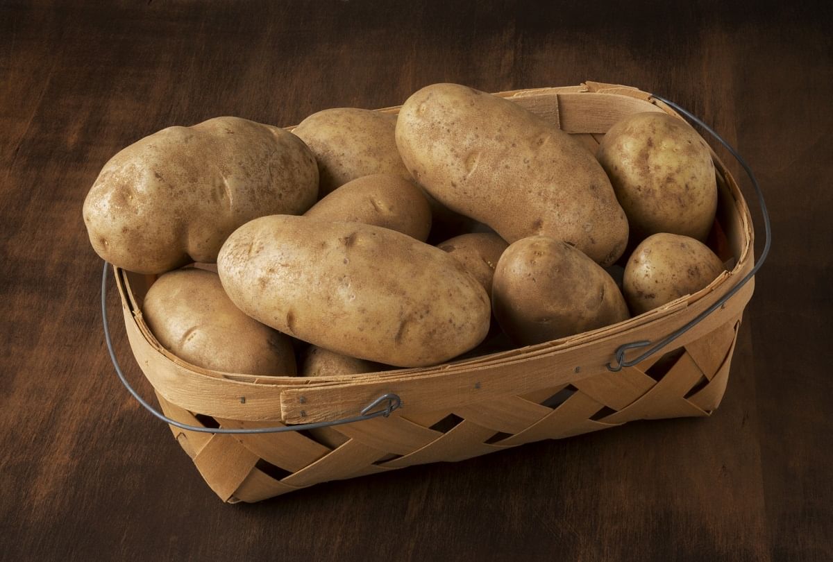 Potato Benefits And Side Effects Aloo Khane Ke Fayde Aur Nuksan In Hindi -  Amar Ujala Hindi News Live - Health Tips:डायबिटीज में खा सकते हैं आलू?  जानिए कितनी फायदेमंद है ये