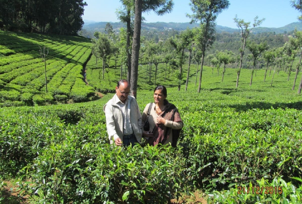 Assam: Himanta government increased daily wages of laborers working in tea gardens