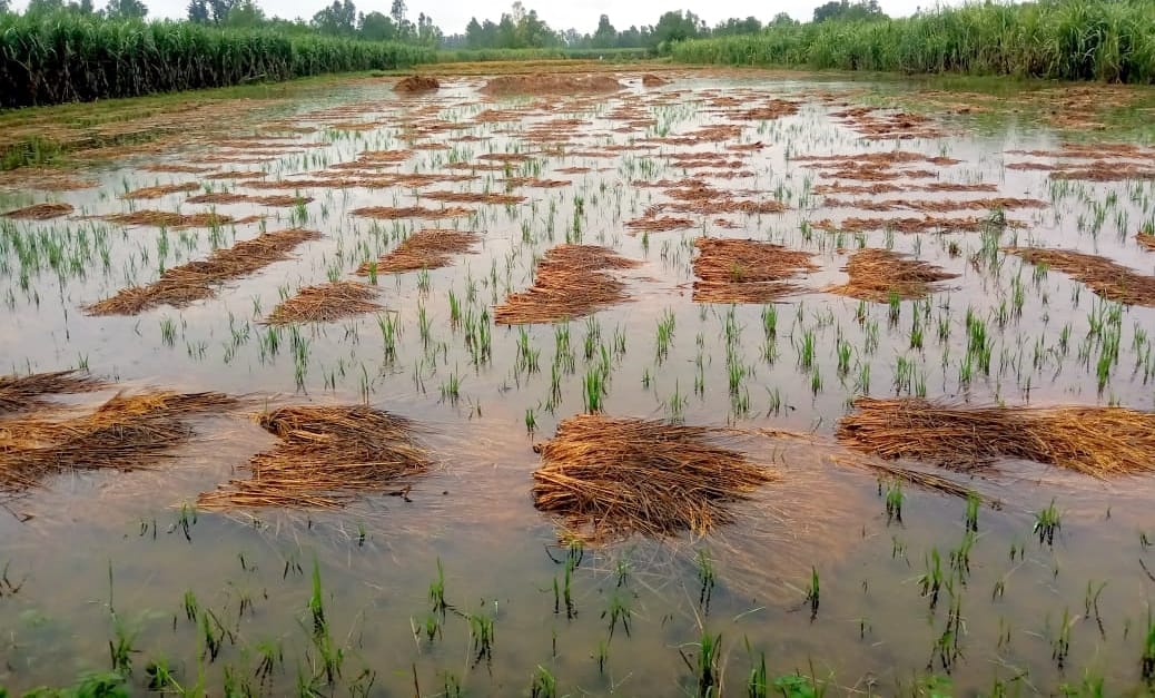 24 hours of rain broke the record of 18 years