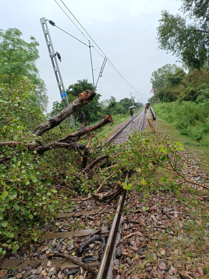 OHE line damaged due to falling trees, many trains affected