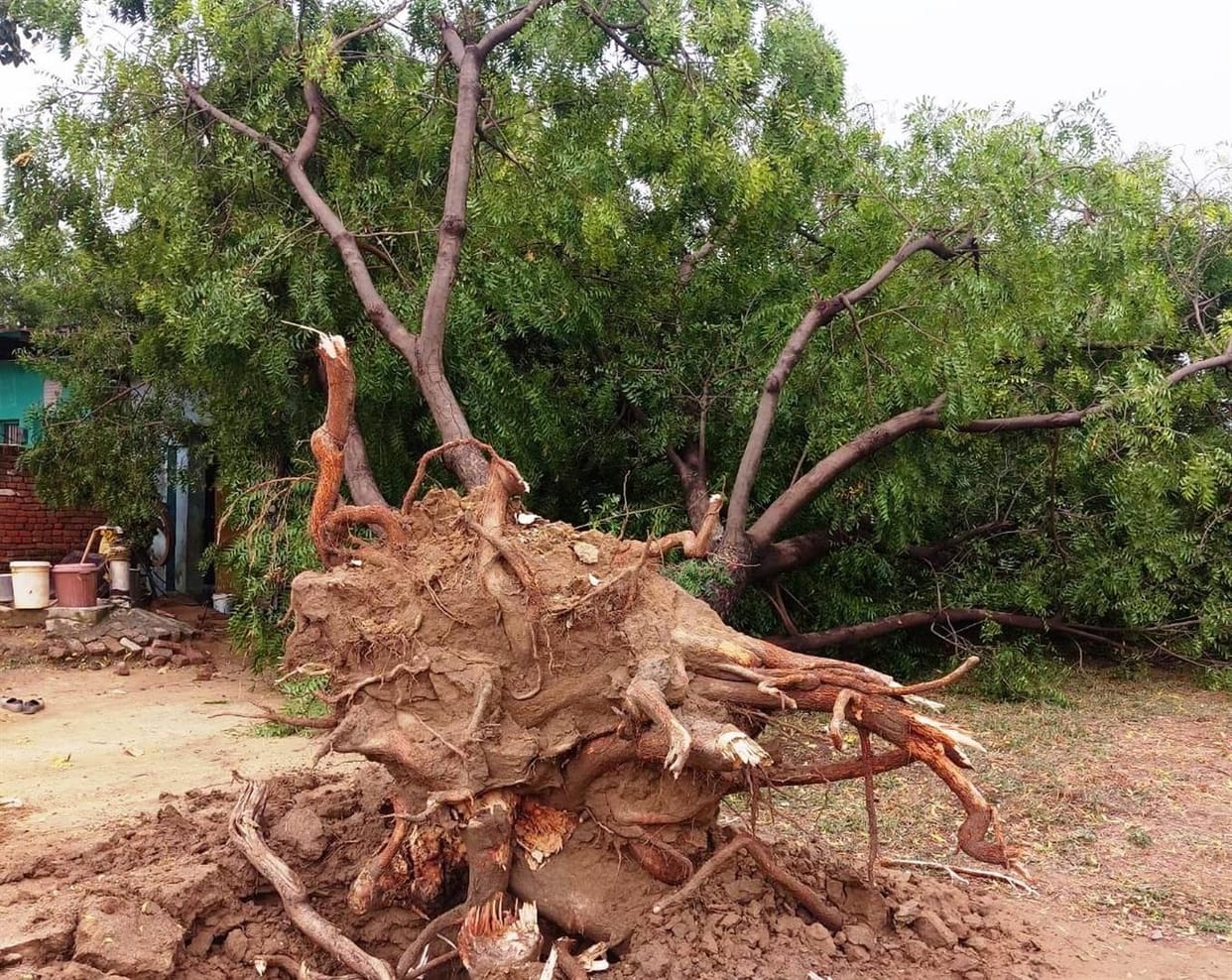 Hathras: Electric poles razed by rain, transformers fell