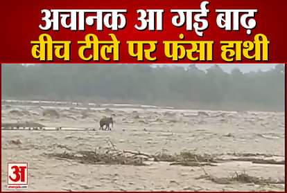 video viral: Elephant stuck in Flooded River in Uttarakhand