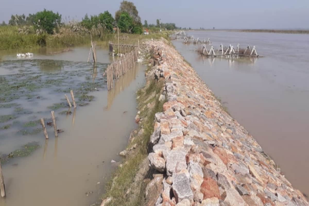 Ganga water level rise in Hastinapur due to heavy rainfall, danger looms over Khadar areas