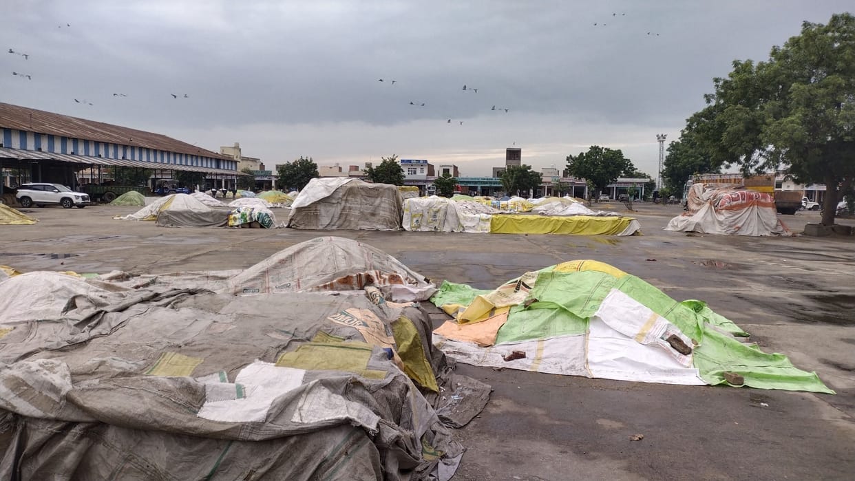 Paddy and millet were not purchased in the market due to bad weather