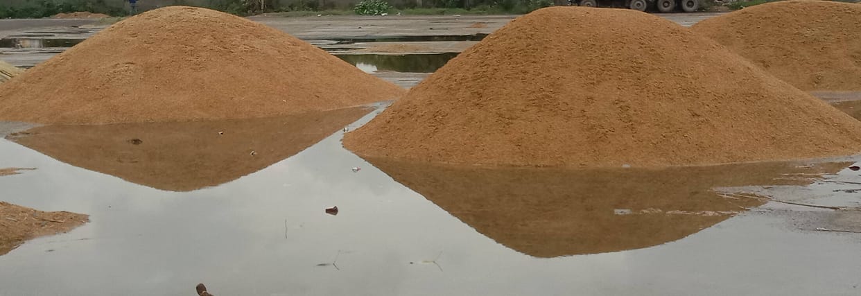 'Dreams' of farmers washed away in 20 mm of rain