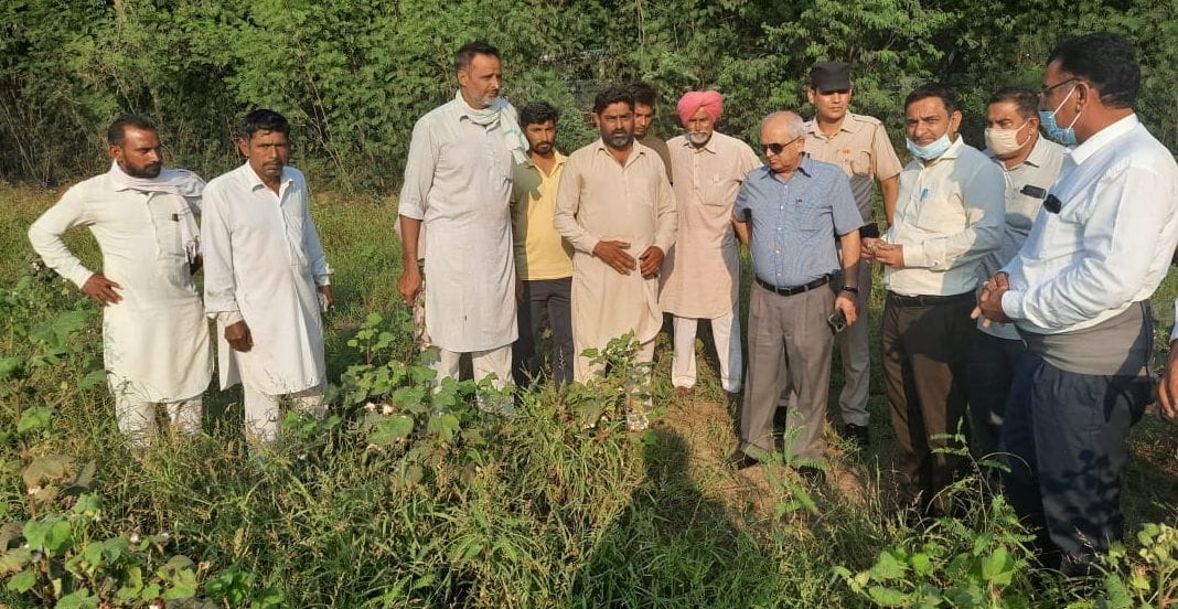 Hisar divisional commissioner Chandrashekhar arrived to investigate e-Girdavari, gave instructions to the officers