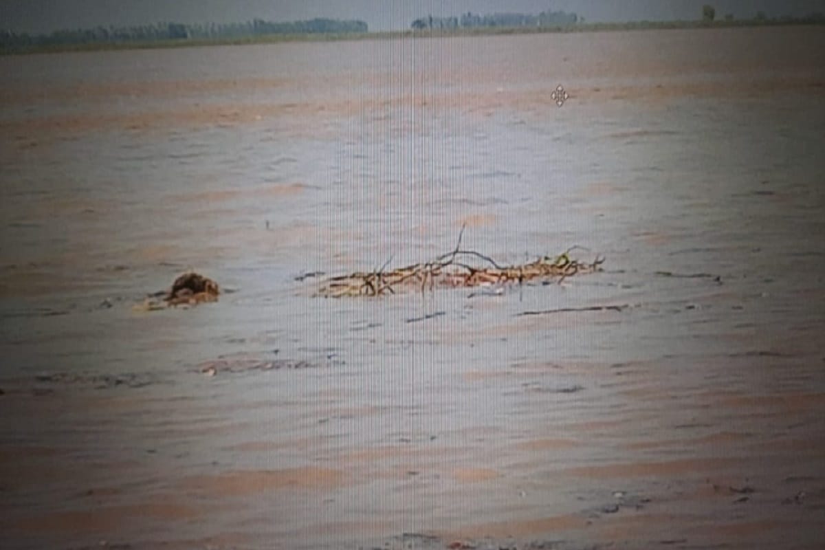 Muzaffarnagar: Dead body of a young man who drowned in Ganga recovered